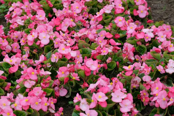 Hoe beïnvloeden energiebesparende maatregelen de woningwaarde?